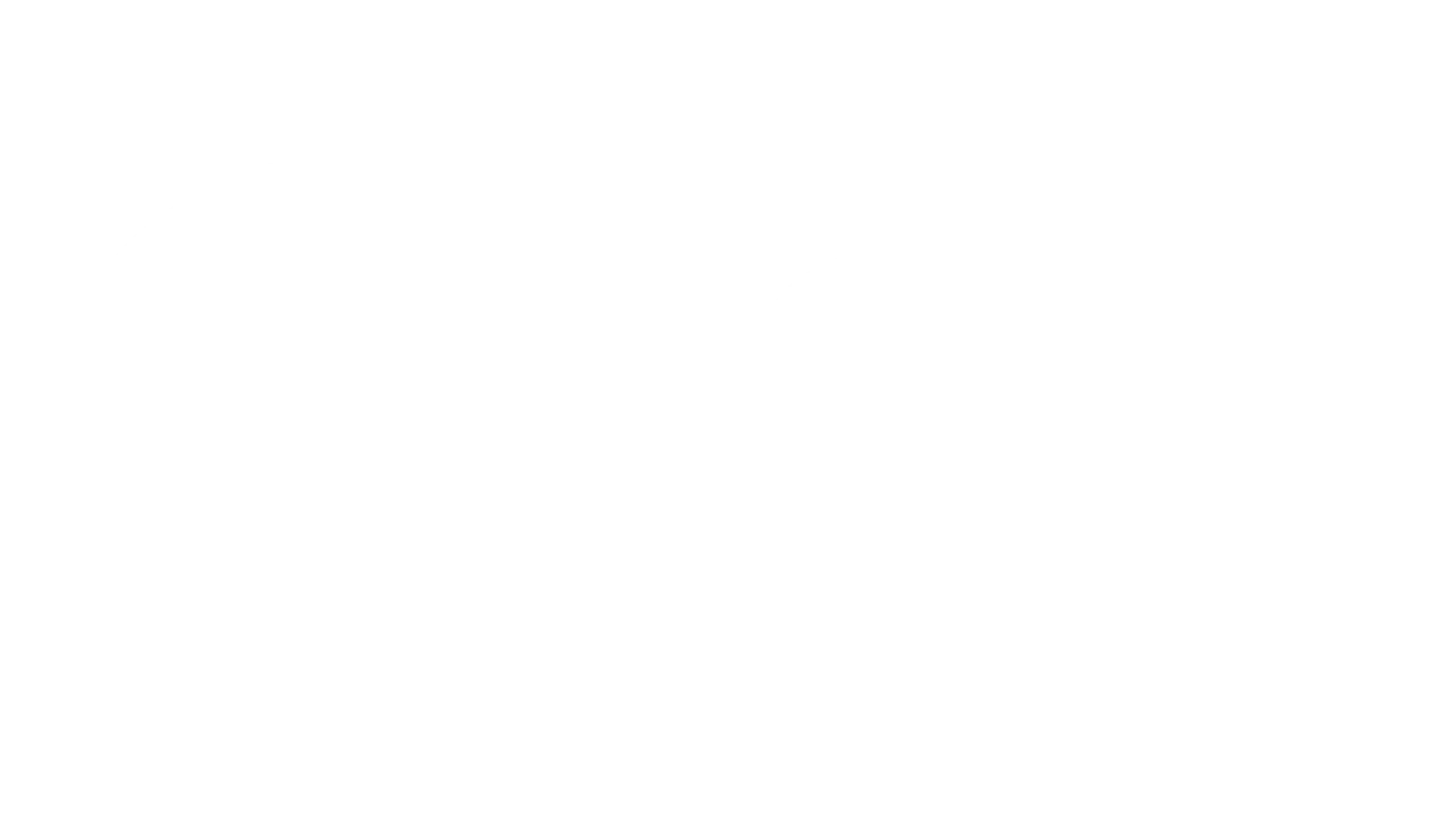Logo Sacha Bret